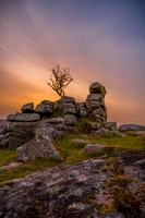 Landscapes