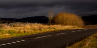 Driving into the storm