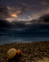 Early morning in the estuary