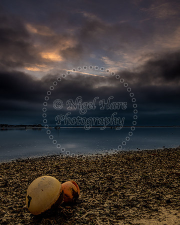 Early morning in the estuary