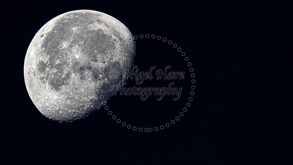 Winter's night moon rise